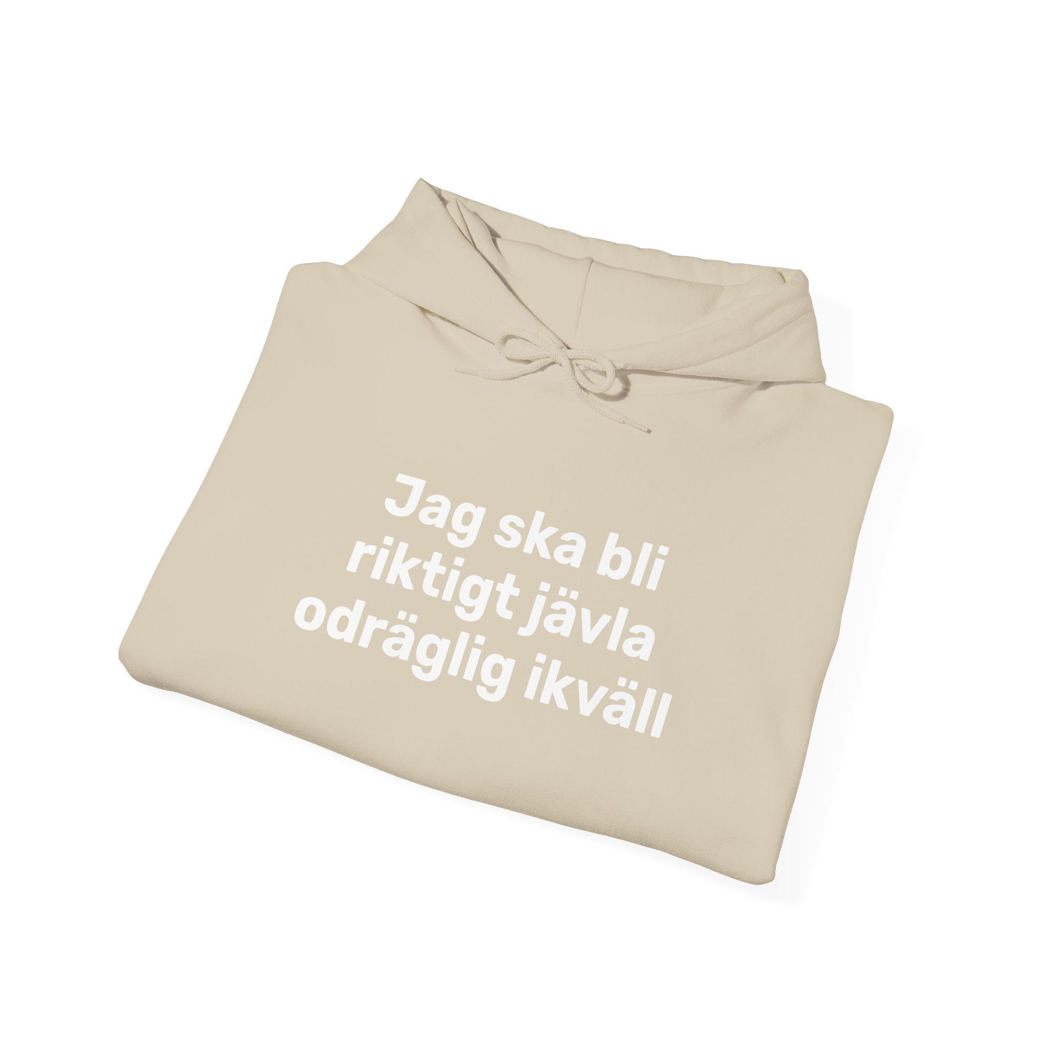 Hoodie - Jag ska bli riktigt jävla odräglig ikväll